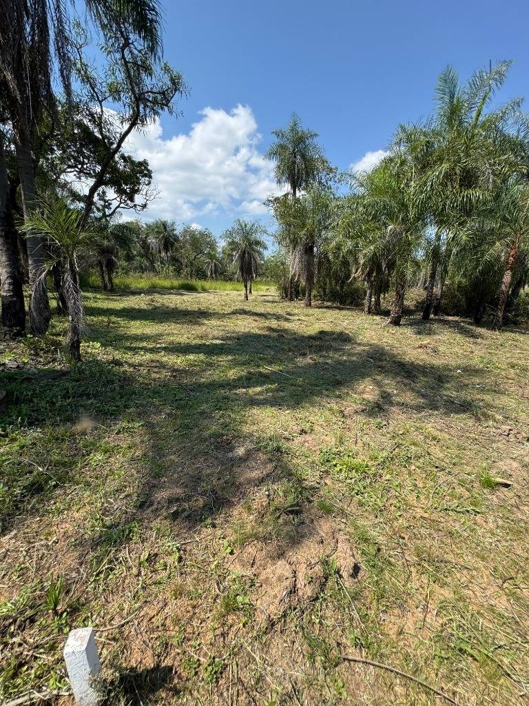 Vendo terreno en San Bernardino zona Ciervo Cua — foto 2