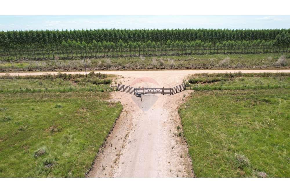 Venta Campo Agrícola y forestal. 1098 Hectáreas — foto 2