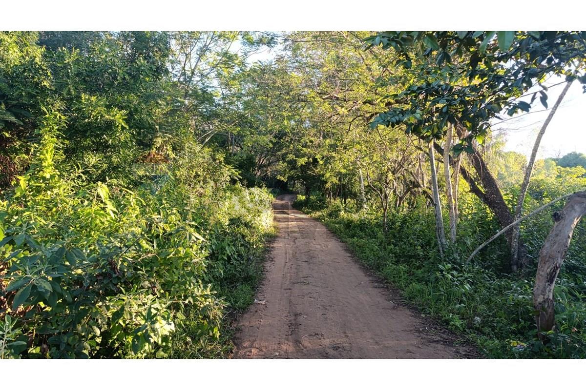 VENDO TERRENO EN LA CIUDAD DE ARROYOS Y ESTEROS — foto 3