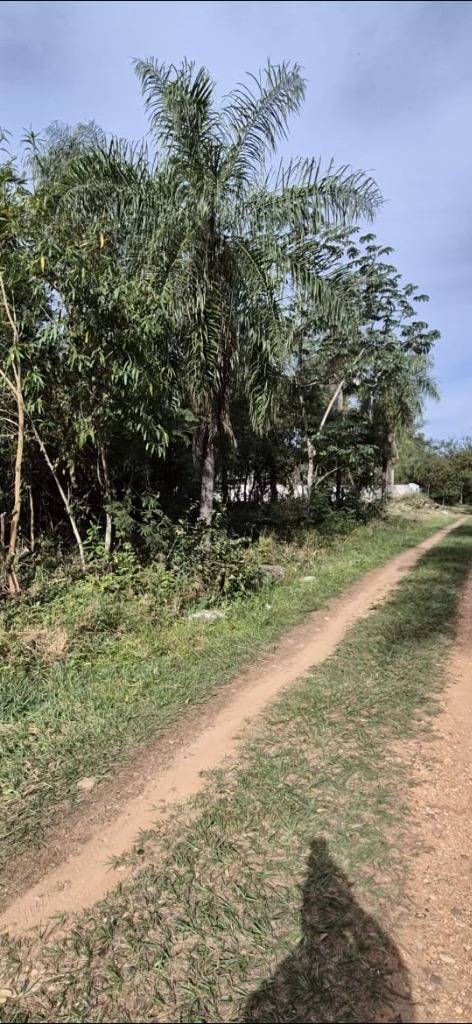Venta de 2 terrenos juntos en San Bernardino – Barrio Ciervo Cuá — foto 3