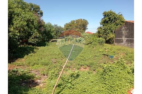 TERRENO EN VENTA, ÑEMBY — foto 3