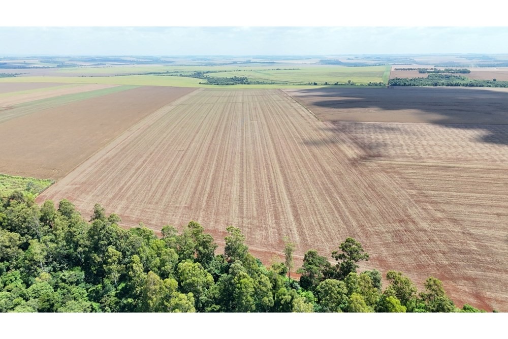 Terreno de 78,9 hectáreas en Santa Rita – Alto Paraná — foto 2