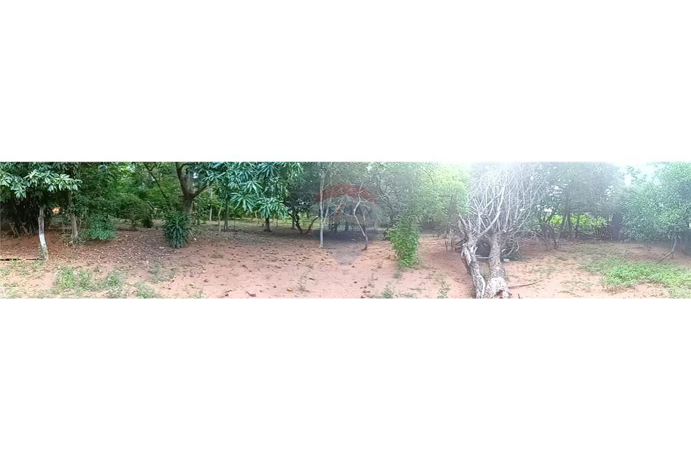 VENDO TERRENO EN CAACUPE — foto 3