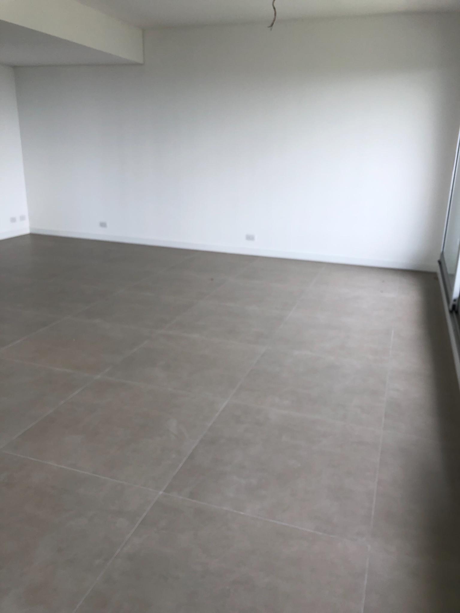 Alquilo Dpto En El Palacio De Los Patos — foto 2