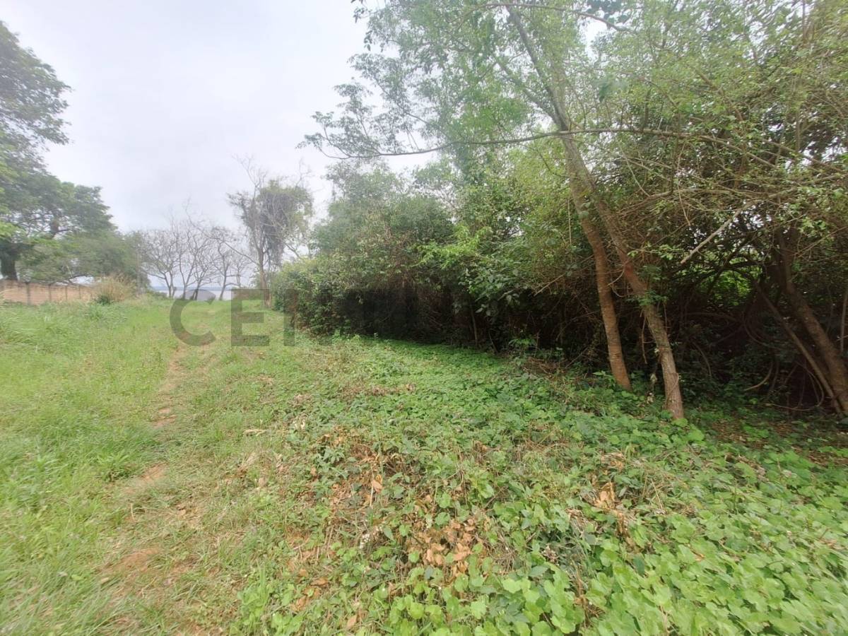 Vendo terreno de 5000m2 en San Bernardino — foto 3