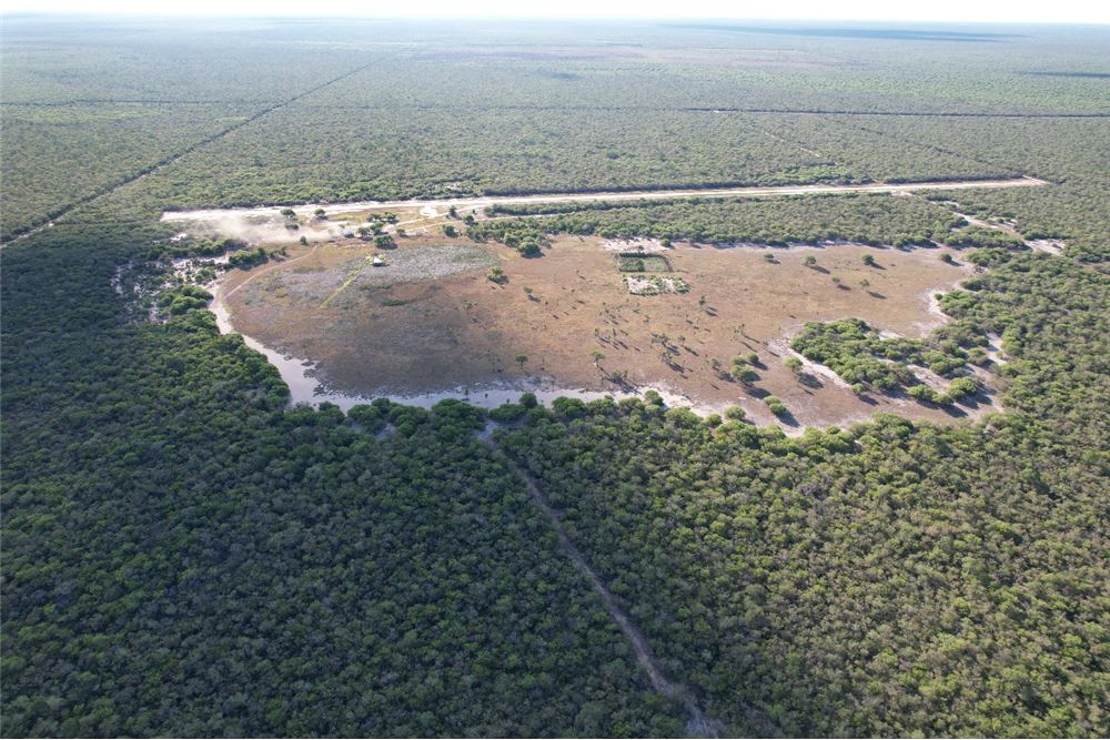 VENDO ESTANCIA EN FUERTE OLIMPO - ALTO PARAGUAY — foto 3