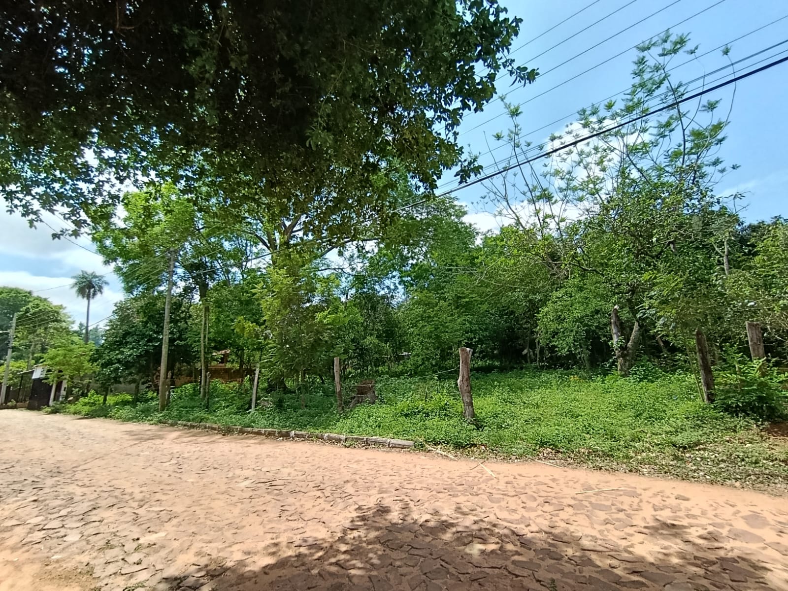 Terreno amplio en Caacupé — foto 3