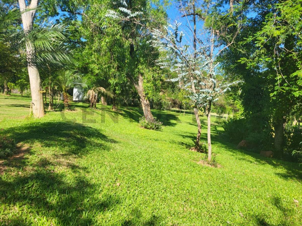 Alquiler de Quinta en Luque, Central — foto 3