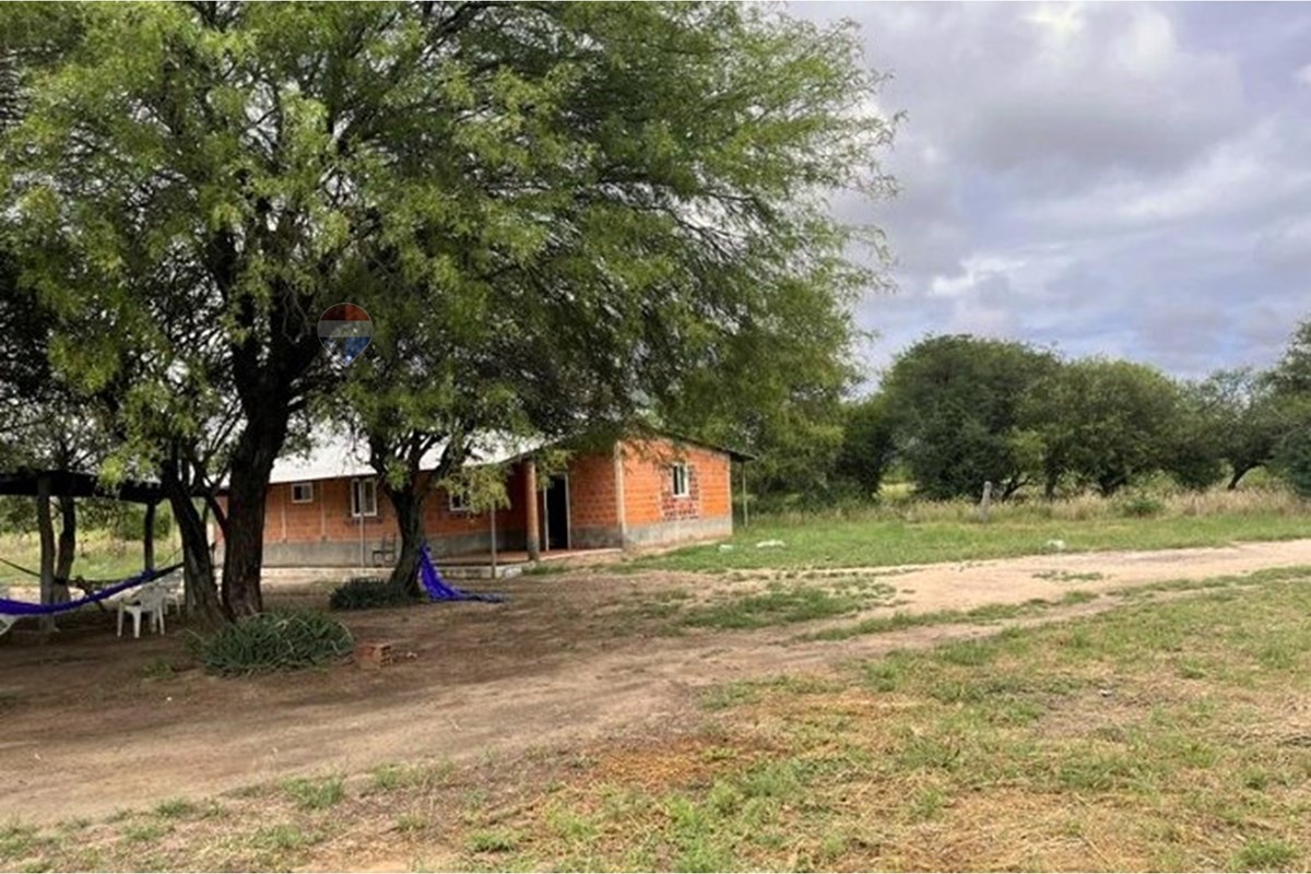 ESTABLECIMIENTO GANADERO EN FUERTE OLIMPO — foto 3