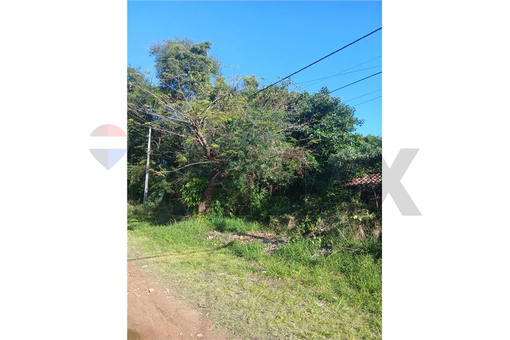 VENDO TERRENO EN SAN BERNRDINO 2500 M2 — foto 2