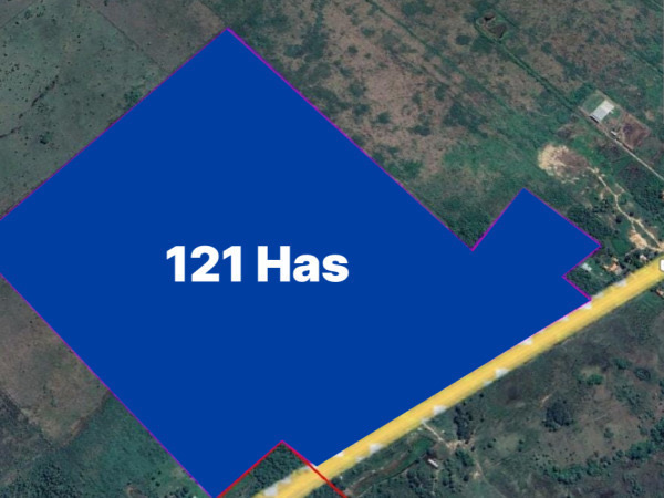 VENDO PROPIEDAD DE 21 HECTAREAS EN FALCÓN SOBRE RUTA — foto 3