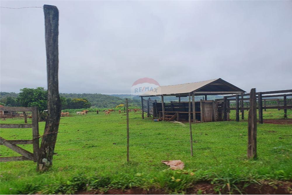 Campo en Venta de 160,8 Hectáreas — foto 3