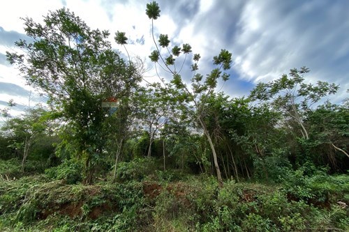Terreno-Venta-PY Cordillera Emboscada — foto 3