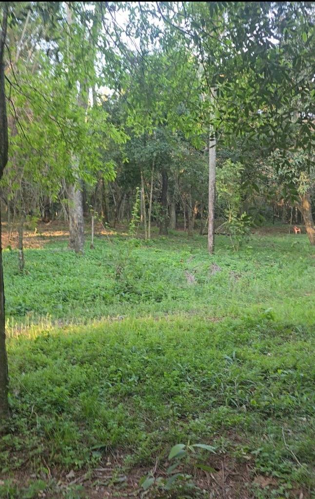 VENDO HERMOSO TERRENO TOTALMENTE ARBOLADO EN LA CORDILLERA DE SAN BER. — foto 3
