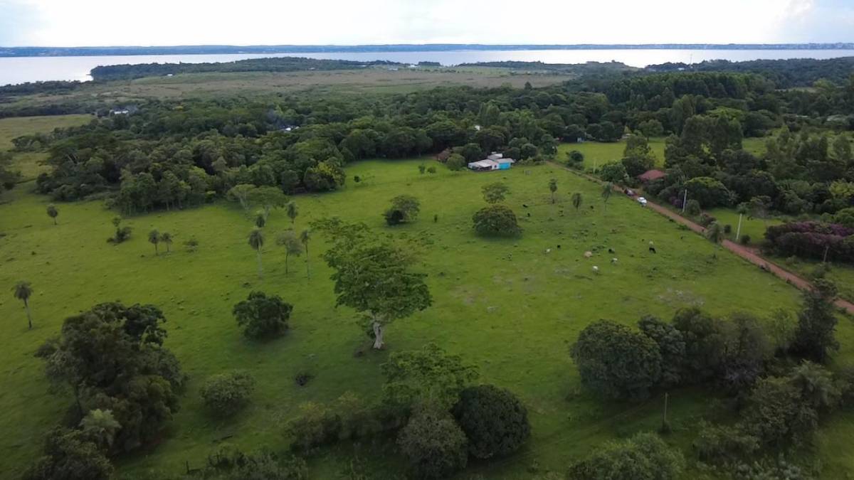 EN VENTA - 15.6 HECTÁREAS EN ENCARNACIÓN — foto 3