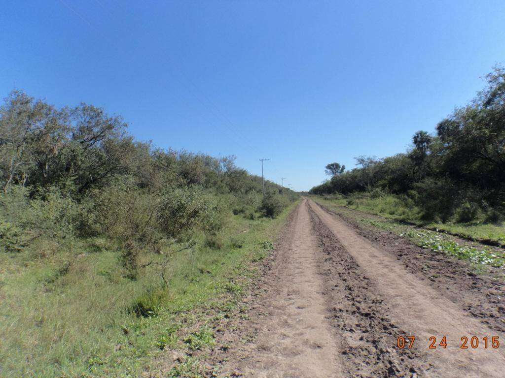 En venta valiosa propiedad ubicada sobre la Ruta PY12, Zona Gral Bruguez, — foto 2