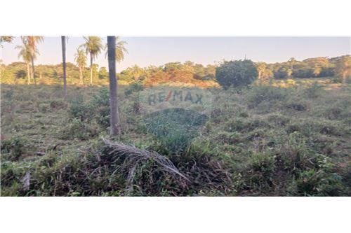 VENDO ESTANCIA P/ ENGORDE 35 HECTAREAS EN TOBATI — foto 2