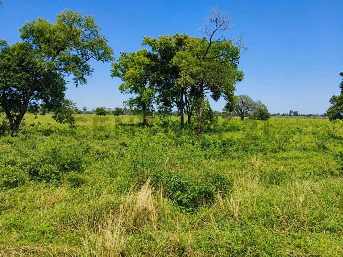 Venta de Terreno en José Falcón, Presidente Hayes — foto 2