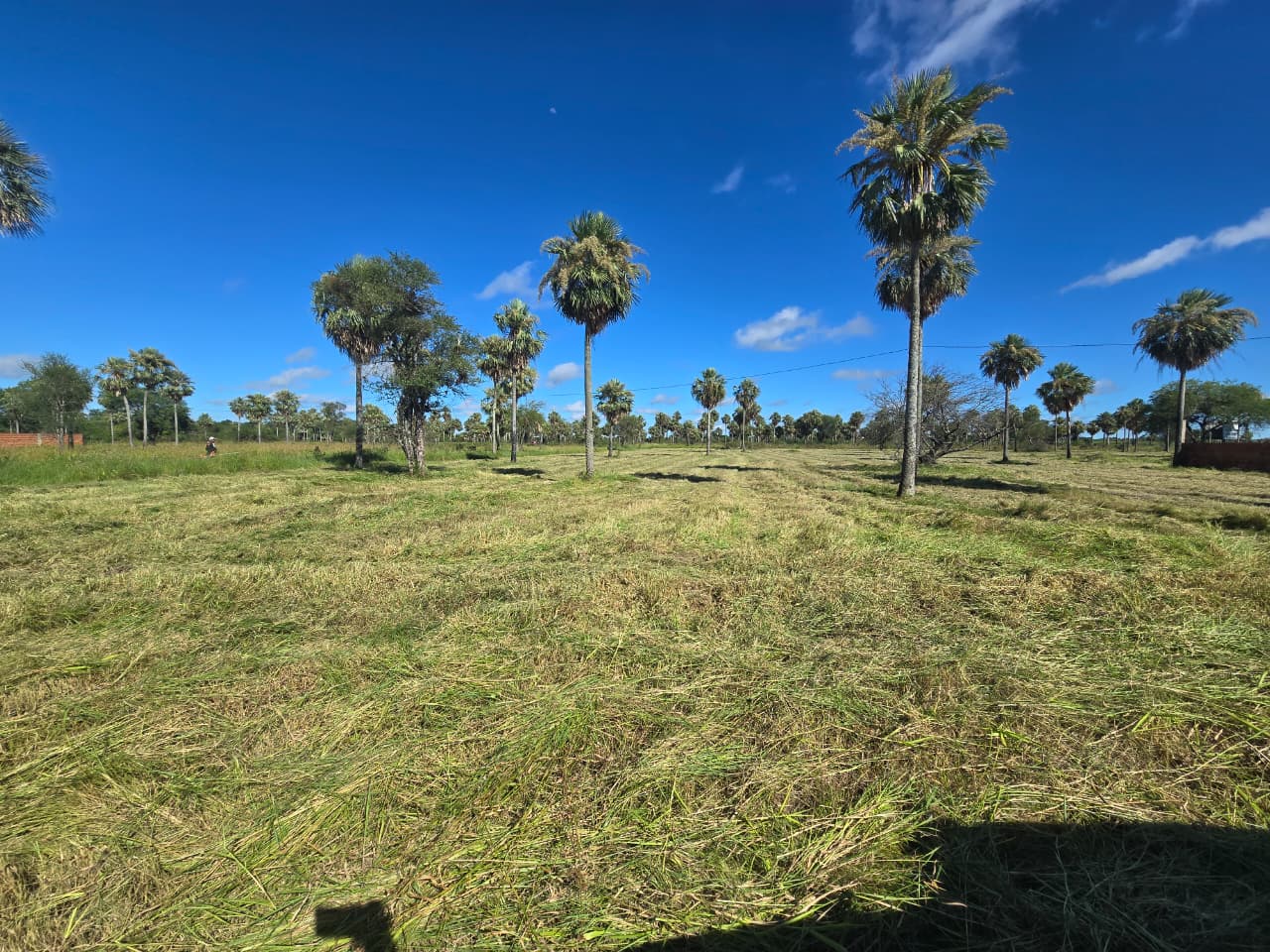 Oportunidad de inversión en Chaco´i/ Nueva Asunción! 3 terrenos en venta — foto 2