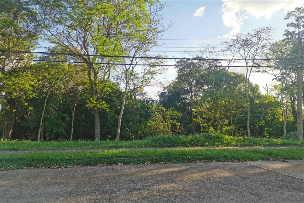 TERRENO EN EL PARANÁ COUNTRY CLUB — foto 2