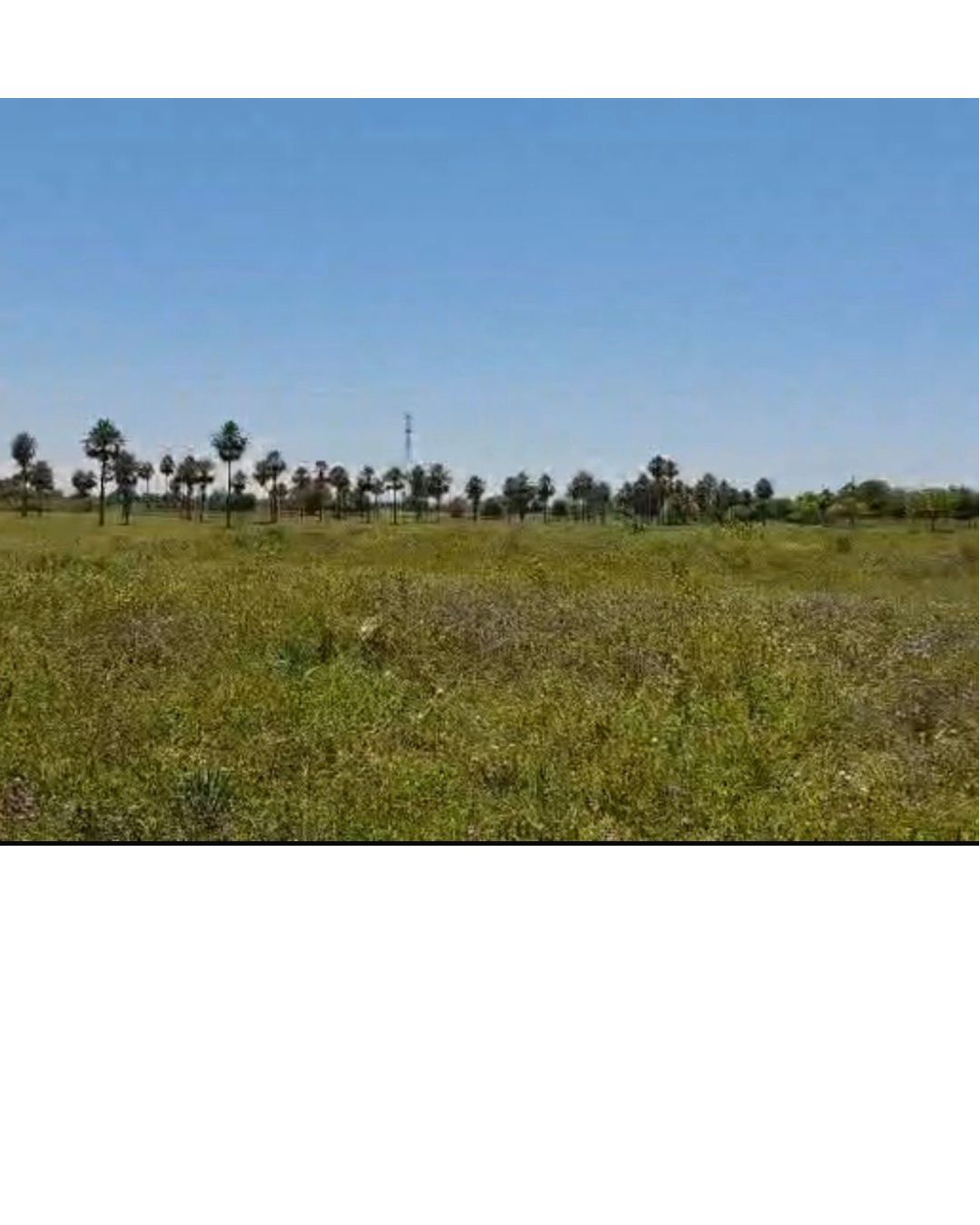 VENDO TERRENO EN VILLA HAYES — foto 3