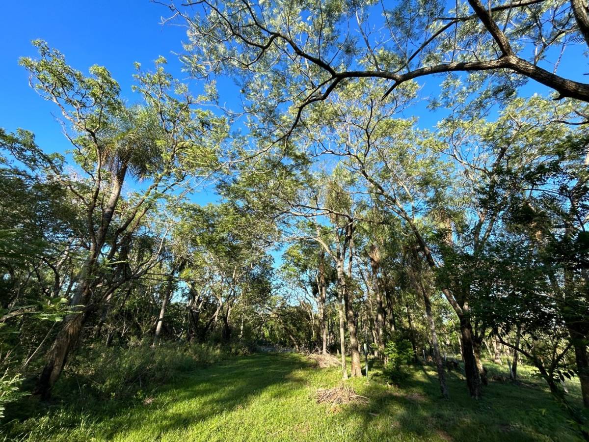 VENDO TERRENO EN SAN BERNARDINO 360 M2 — foto 2