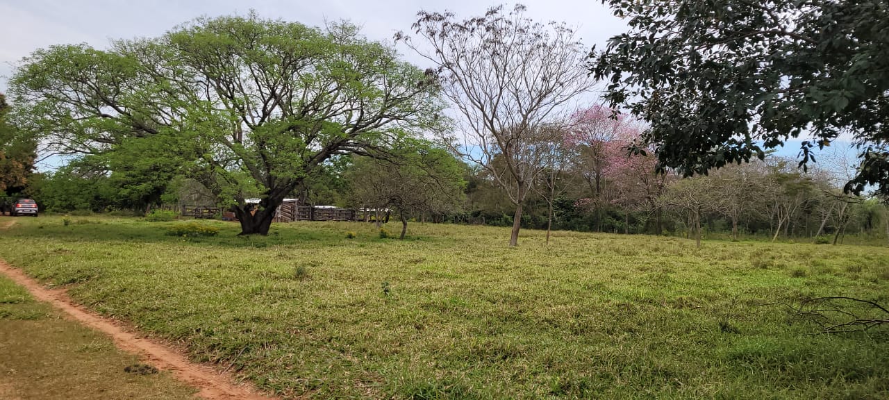 Terreno en Yaguaron 14 HA. — foto 2