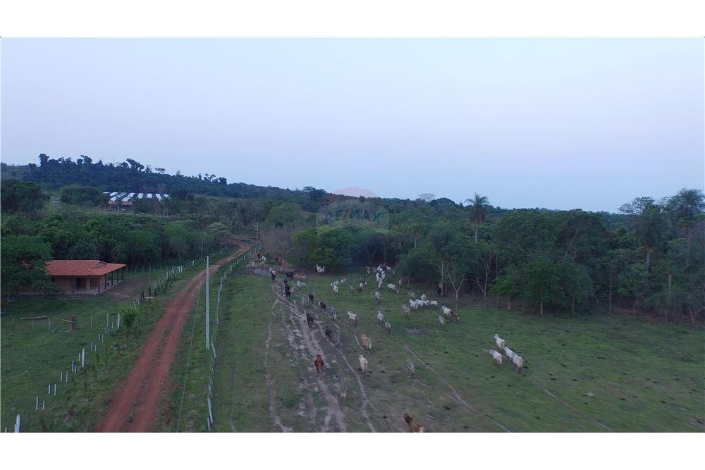 Campo en Arroyos y esteros sobre el rio Piribebuy — foto 2