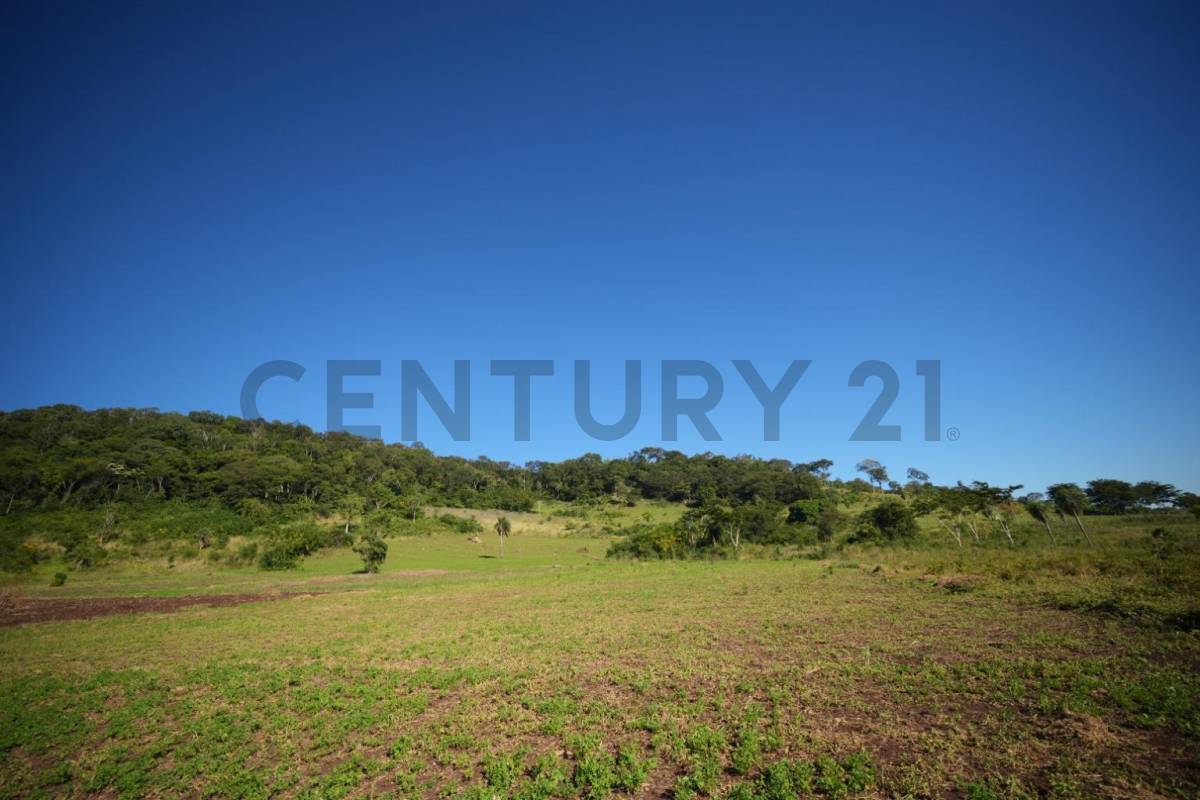 OPORTUNIDAD DE INVERSIÓN, 20 HECTÁREAS EN CERRO CORA - SAPUCAI — foto 2