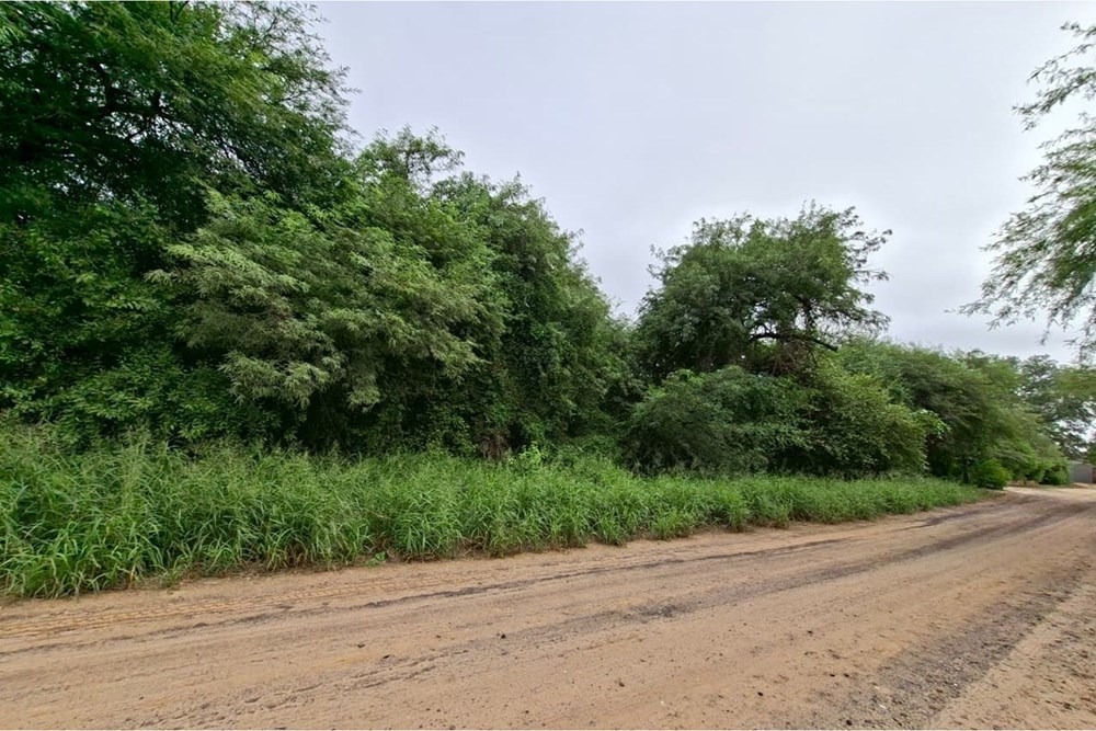 Terreno-Venta-Calle Friedhof, Filadelfia, Boquerón — foto 2