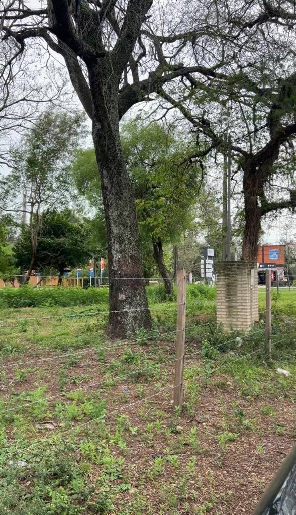 ALQUILO TERRENO EN SAN BERNARDINO SOBRE AV PRINCIPAL — foto 2