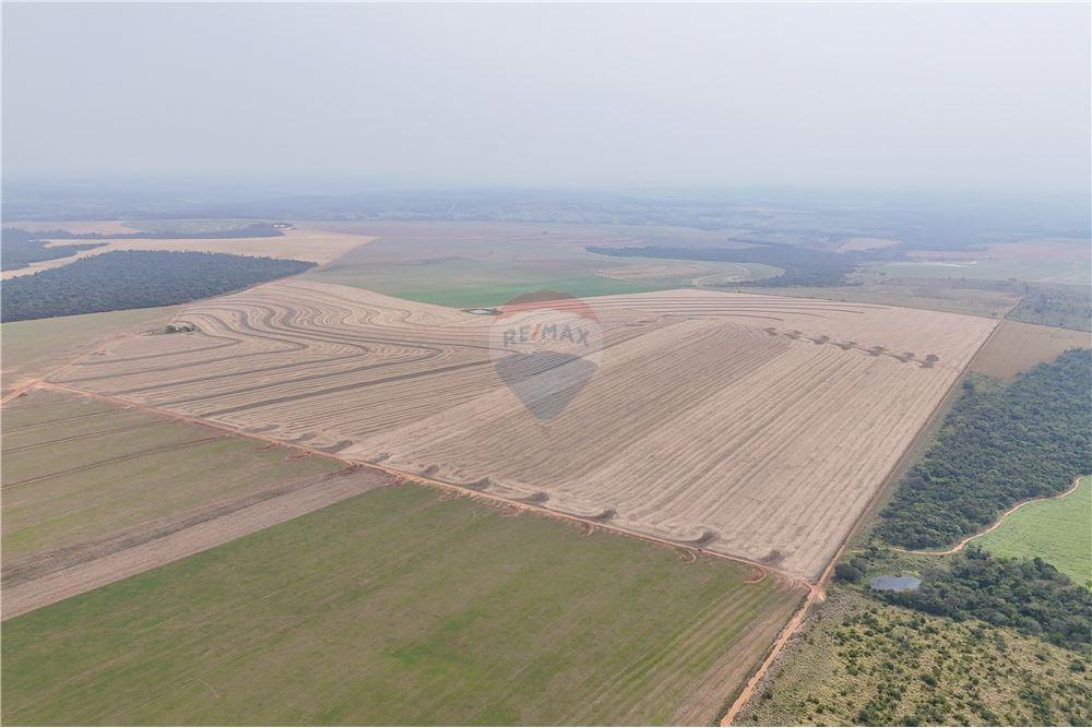 En Venta - Finca Agrícola - Capiibary, San Pedro, Paraguay — foto 2