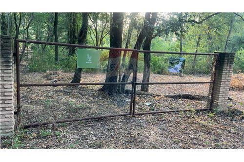 VENDO 1HA DE TERRENO EN SAN BERNARDINO — foto 2