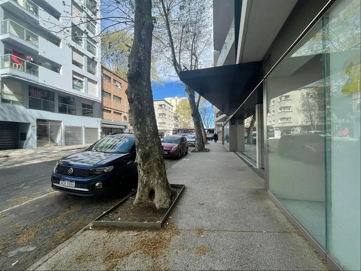 Alquiler- Local- Palermo · Foto 12