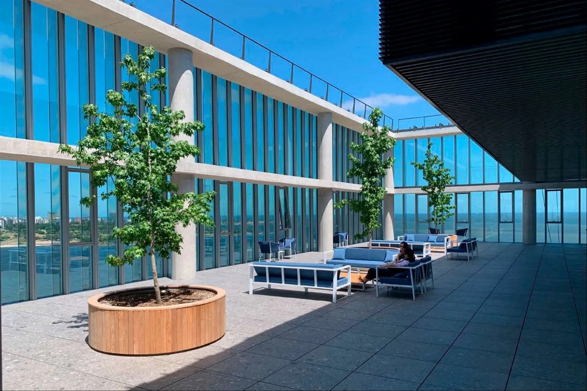 Alquiler - Oficinas - Edificio Clase Aaa+ Rambla Sur - Palermo Centro · Foto 8