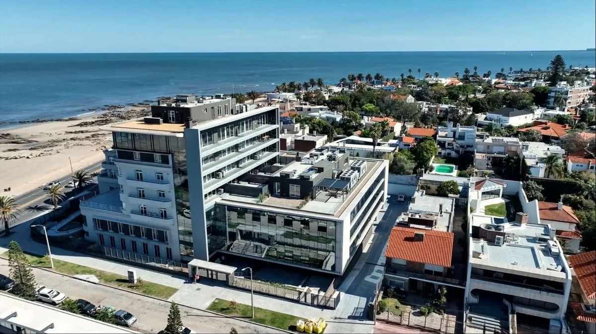 Alquiler O Venta - Oficinas De Cateogria - Carrasco · Foto 2