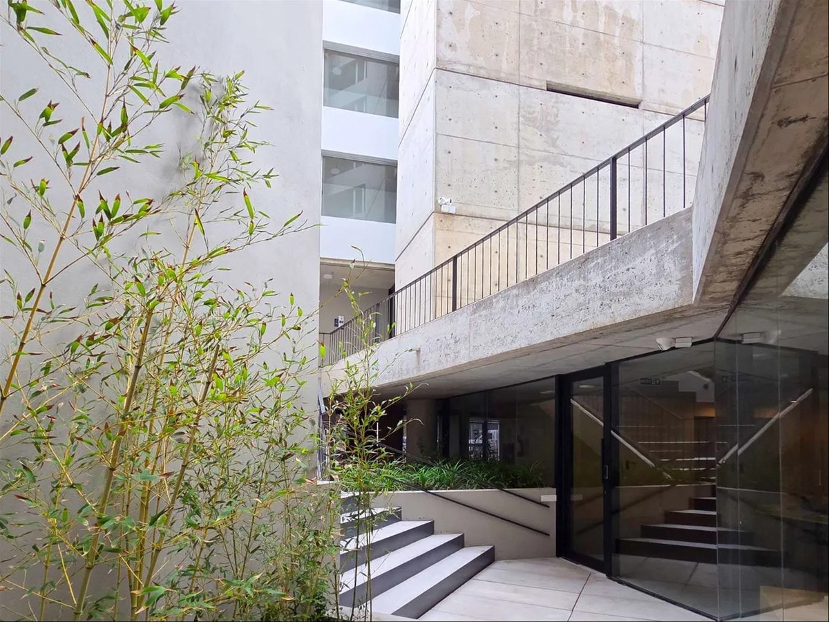 - Alquiler O Venta - Oficinas - Cordón - Centro - Constituyente - A Estrenar - · Photo 3