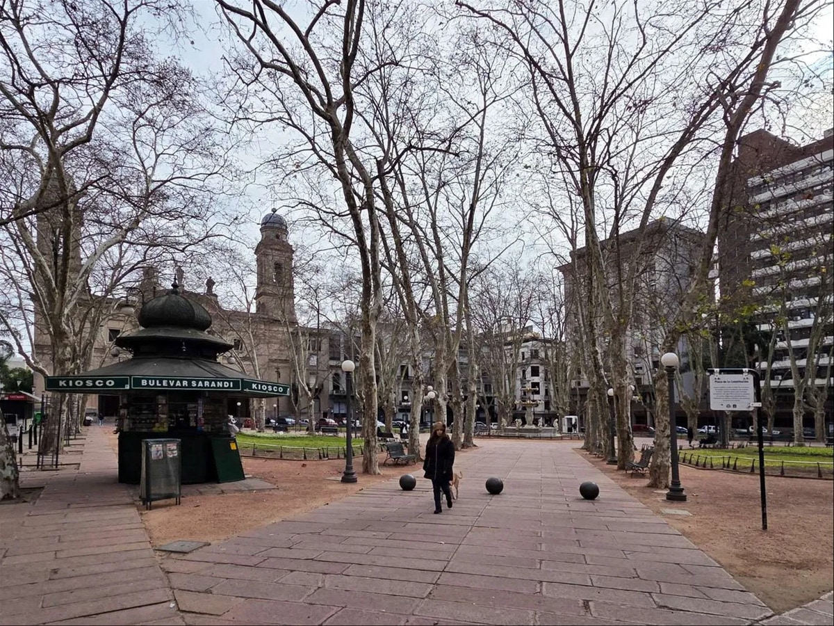 Alquiler - Oficina - Ciudad Vieja - Plaza Matriz - · Foto 8