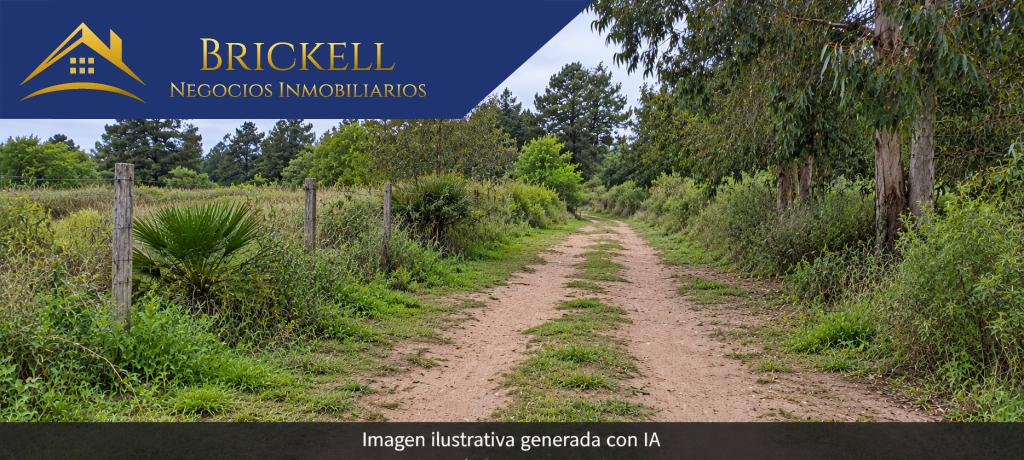 ALQUILER. CHACRA. DOS HECTÁREAS. PANDO · Foto 1