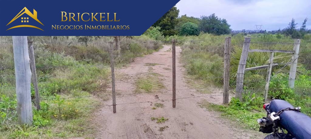 ALQUILER. CHACRA. DOS HECTÁREAS. PANDO · Foto 7