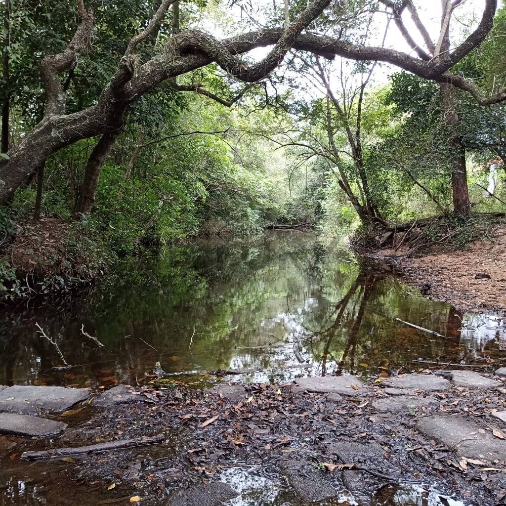 Vendo estancia en Caapucu - Departamento de Paraguarí — foto 2