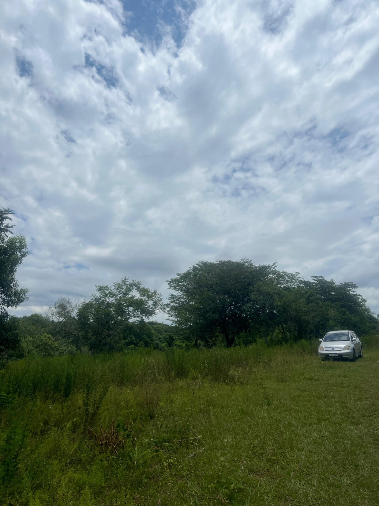 Terreno En Venta Luque-zona Jukyry — foto 3