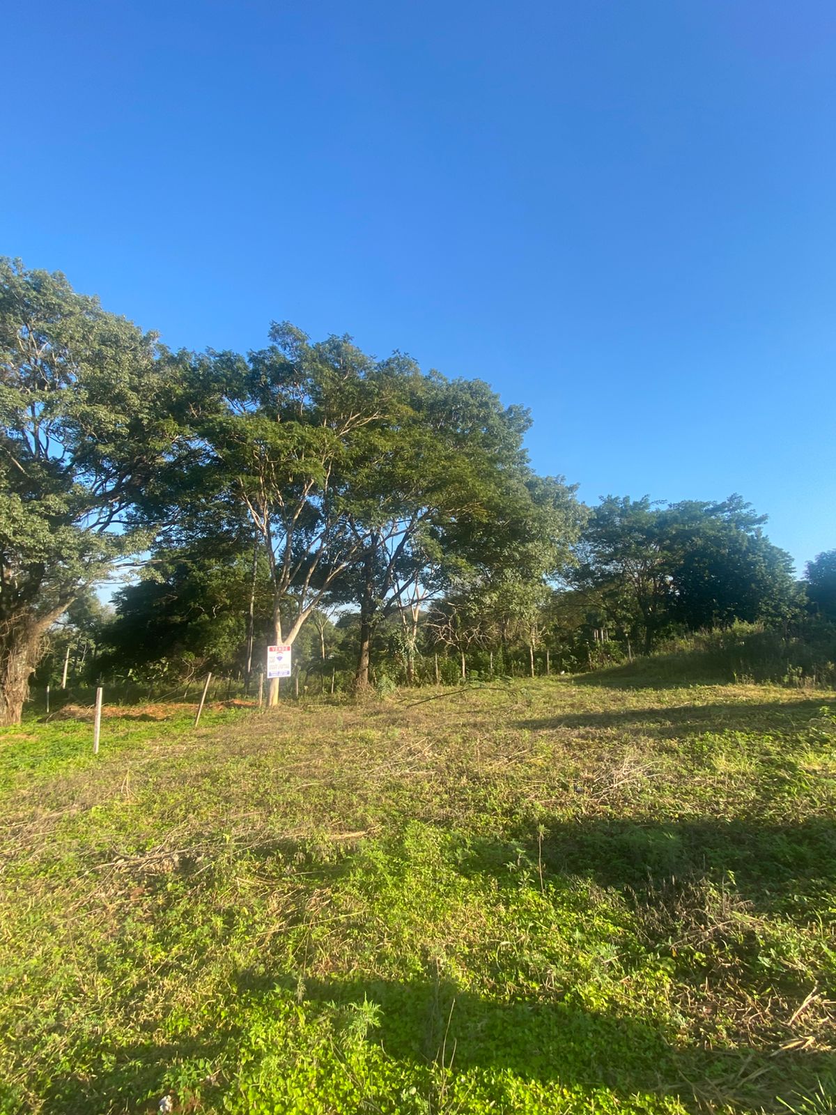 En venta amplio terreno en ypane — foto 2