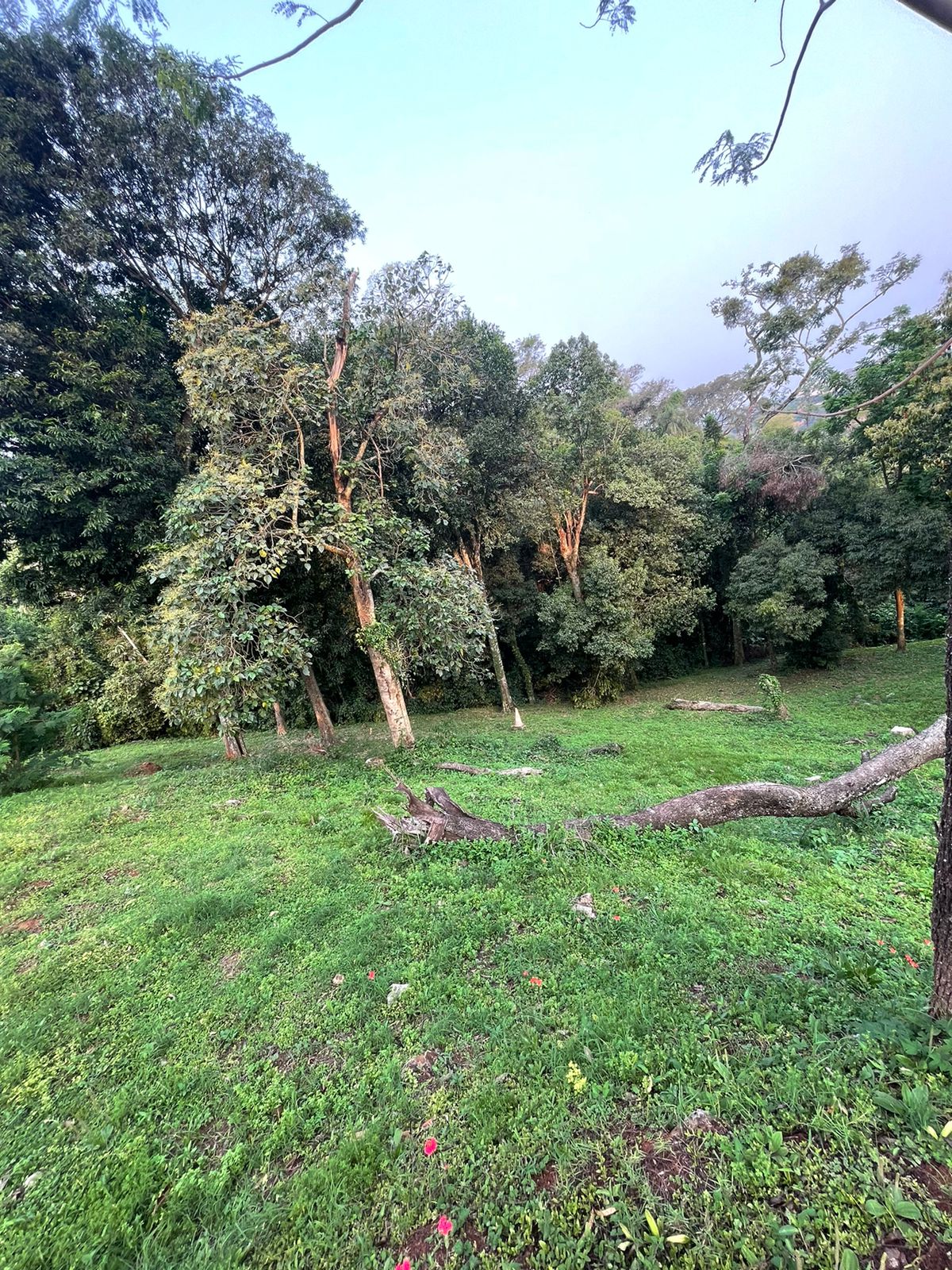 Vendo Terreno en el Paraná Country Club — foto 3