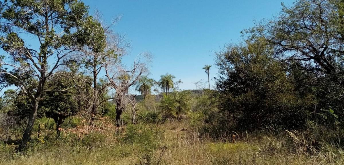 Venta terreno cerca del arroyo Ytu — foto 2