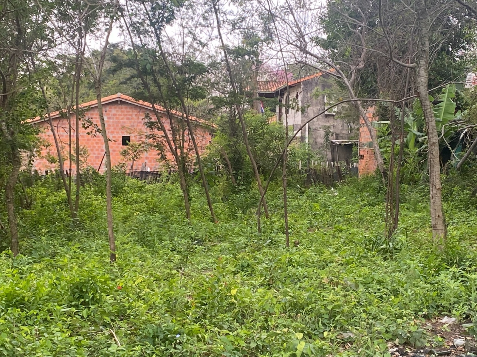 Vendo Terreno en luque — foto 2