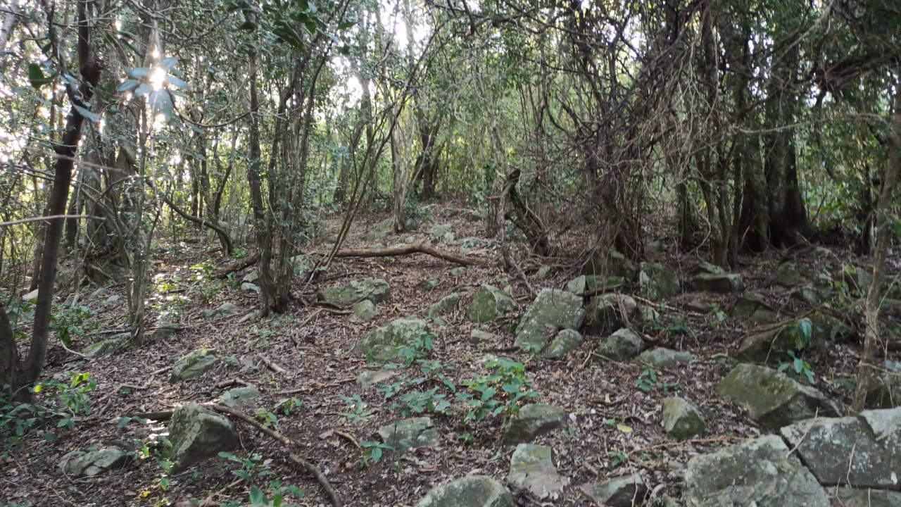 VENDO TERRENO EN PIRAYU´I SAN BERNARDINO — foto 3