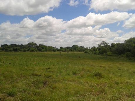 En Venta 20.000 M2 Lote , A 100 Mts. De La Nueva G-77