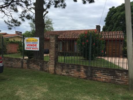 Sobre Bulrich, En El Corazón De Lagomar
