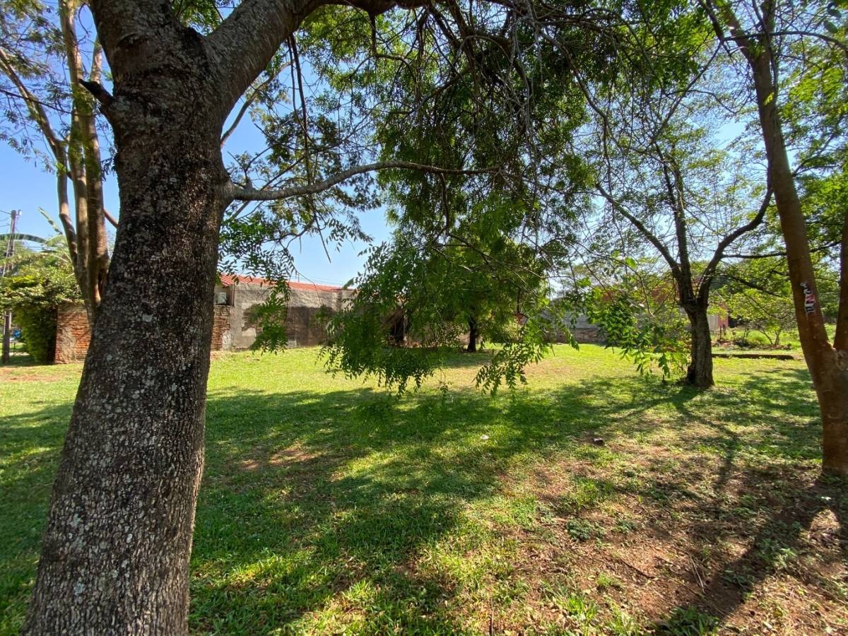 VENDO 3 TERRENOS A UNA CUADRA DE RUTA LUQUE-LIMPIO - foto 1